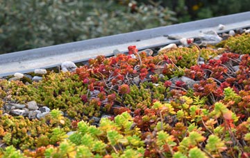 the cost of Ridge Row green roof installation