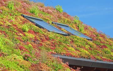 Ridge Row living roof systems