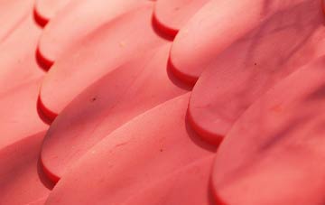 Ridge Row plastic roof costs