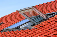 Ridge Row roof window
