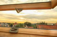 rated Ridge Row roof window companies